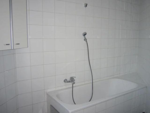 DOPPELHAUSHÄLFTE MIT GARTEN