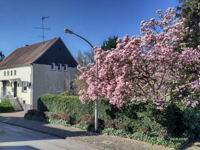 Doppelhaushälfte im Duisburger Süden
