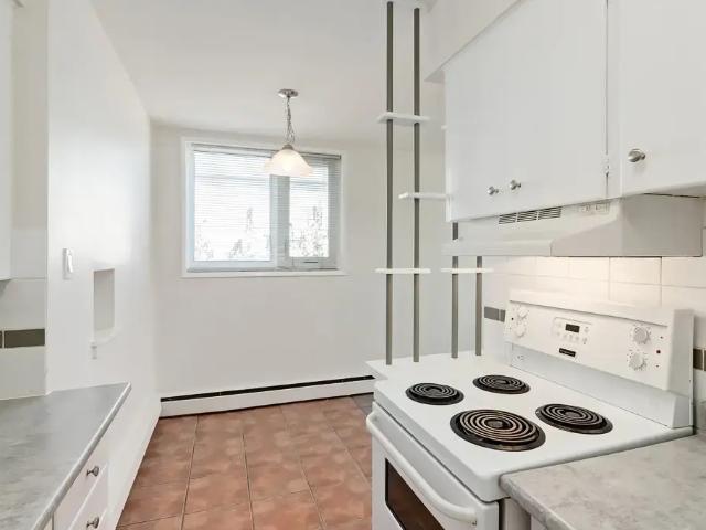 Dorchester Apartments 1 Bedroom Apartment for Rent