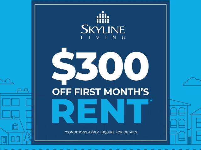 Dorchester Apartments 1 Bedroom, 1 Bath B [object Promise] for Rent