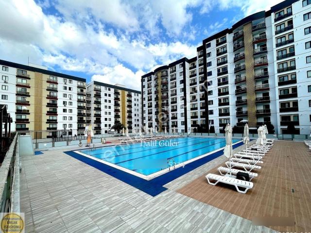 Dorelife Sitesi Satılık Eşyalı 1+1 Daire 8.kat Halil Güler