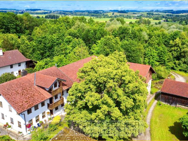 Dorfen: Charmanter Hof mit Austragshaus, Stallungen und weitläufigem Grund in idyllischer Lage