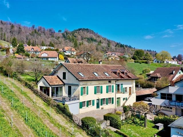 Dorfhaus mit Charakter, ideal für ein Familienleben zwischen Weinbergen und See