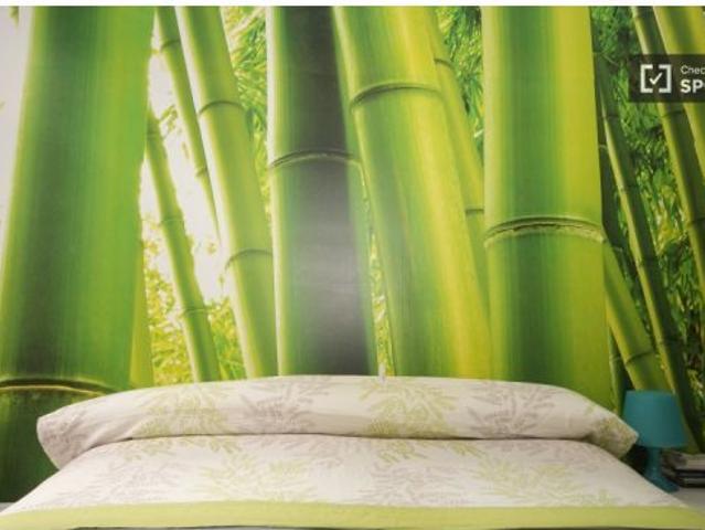 Dormitorio 1 cama individual
