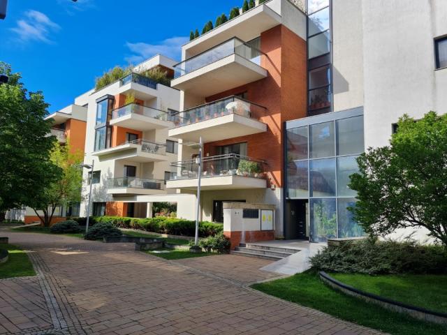 DOROBANTI WASHINGTON, 4 CAMERE LUX, 188MP + CURTE PRIVATA 117MP!