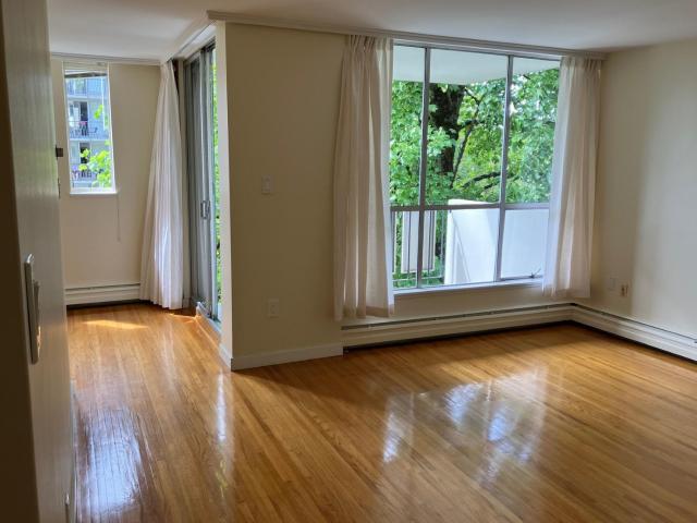 Dorset Place One Bedroom [object Promise] for Rent