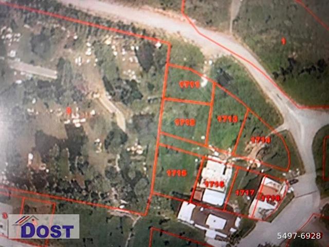 DOST TAN MUĞLA MİLAS GÜLLÜK MEVKİİ 272 M2 SATILIK ARSA