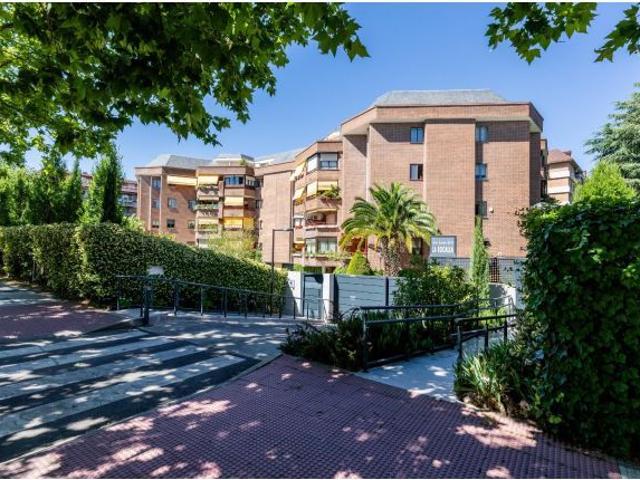 DOS TERRAZAS, PATIO Y PISCINA: PRIVACIDAD Y POTENCIAL EN LA AVENIDA DE ESPAÑA