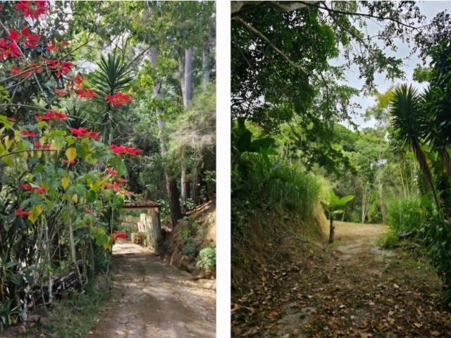 Dos Terrenos Parcelas en San Antonio,Potrerito 7.553,13m2 m2 25 44