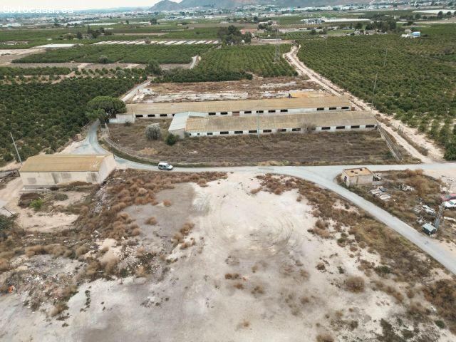 DOS TERRENOS RÚSTICOS CON MÁS DE 18.000M2 EN ORIHUELA CARRETERA LA CULEBRA