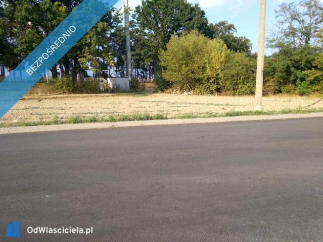 Doskonałe miejsce na biznes!
