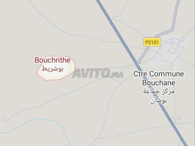 Douar Bouchrit
