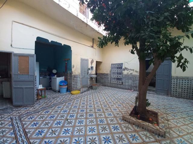 DOUAR GRAOUA riad à rénover, terrain adjacent