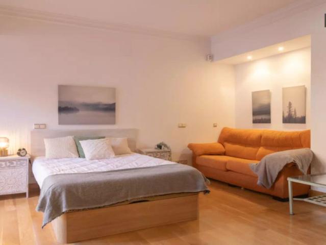 Double bed in Room in a shared 11 bedroom apartment for rent in El Viso