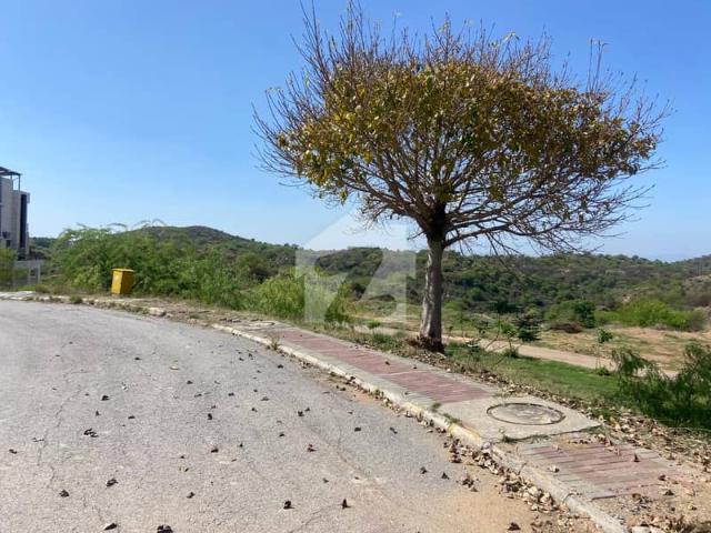 Double Road Access Plot For Sale