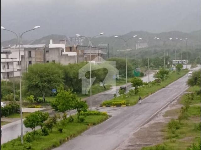 Double Road Plot for Sale in D 12 Islamabad