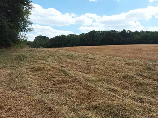 Douchapt 24350 Programme neuf terrain neuf à vendre