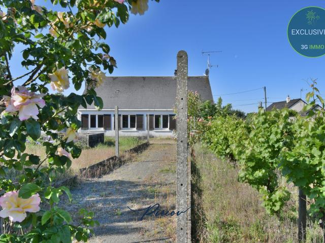 Doué la Fontaine Vente Maison 49
