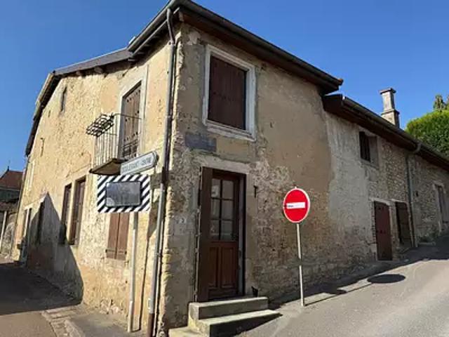 Doulevant le Château 52110 Achat / Vente maison 9 pièces t9 jardin terrasse