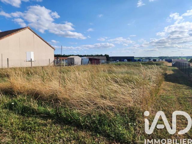 Doussay Vente Terrain 86