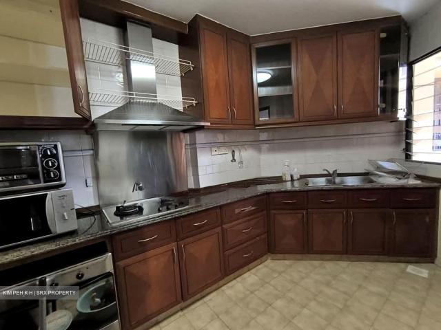 Dover Parkview D5, Condominium