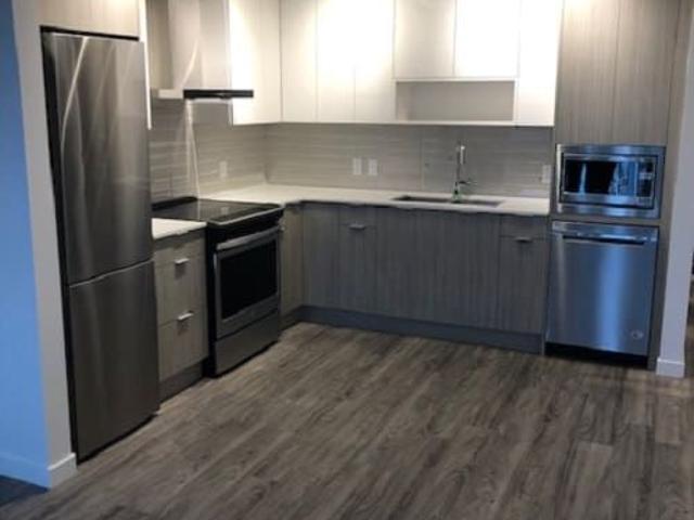 Downtown 1 bed 1 bath Condo: Avail Oct 1