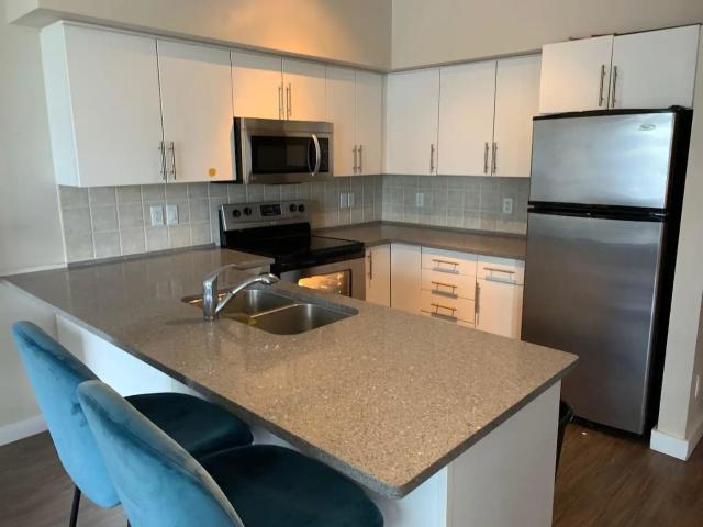 DOWNTOWN EDMONTON: Two bedroom/Two Bathroom Condo in Icon I