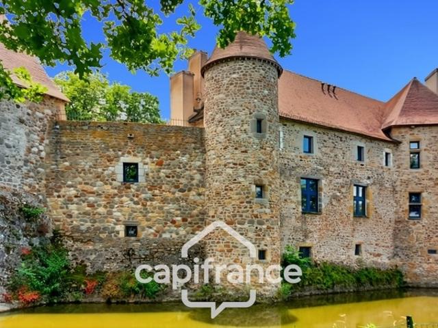 Doyet Vente Propriété/château 03