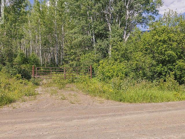 Dl 5314 Horseshoe Lake Road Mcbride, British Columbia