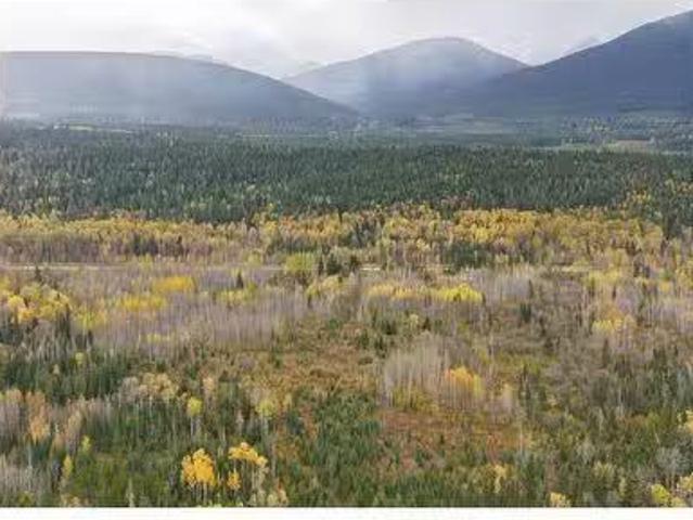 Dl 7054 W 16 Highway, Mcbride, BC, V0J 2E0 vacant land for s.