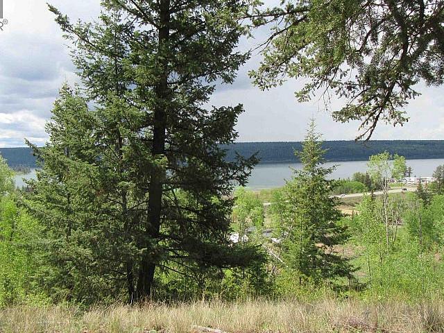 Dl 2808 Donovan Road Lac La Hache, British Columbia