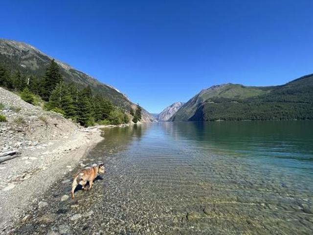 Dl 3221 Seton S Lake, Lillooet, BC, V0K 1V0 vacant land for sale | Listing ID 10394 | Royal LePage