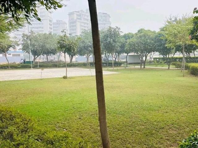 DLF Garden City Plots I 192 Sq. Yd. Plot in Sector 91 Gurgaon Listing ID: #9931