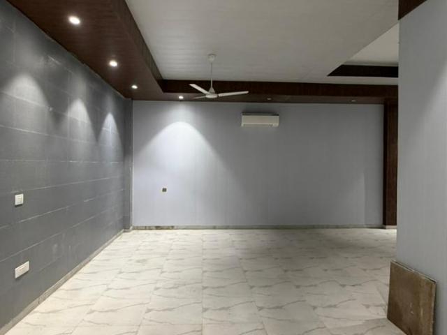 Dlf Phase I, Sector 26a 2 Bedroom 150 Sq. Yd. Builder Floor in Dlf Phase I Gurgaon Listing ID: #10394
