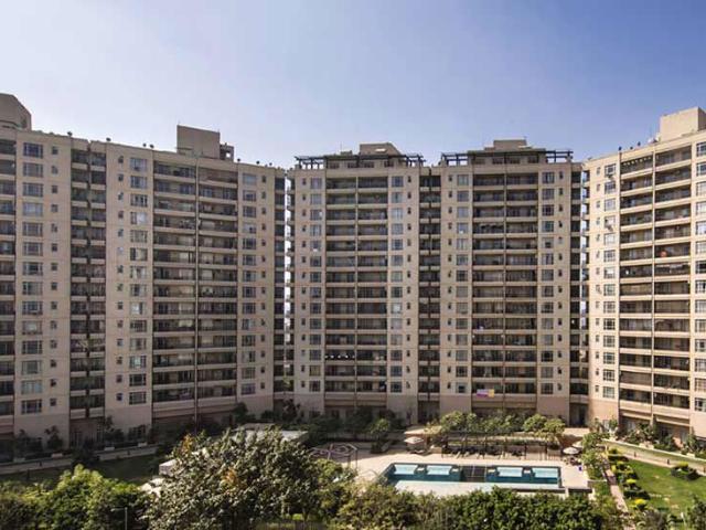 DLF The Camellias Studio 280 Sq. Ft. Apartment in Sector 42 Gurgaon Listing ID: #10168