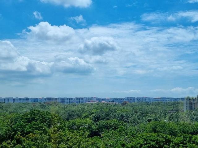 D'nest D18, Condominium