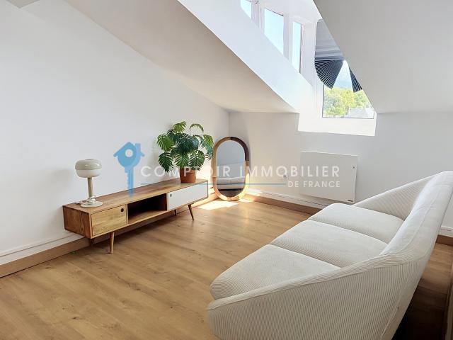 DPT 38 Isère A LOUER T2 de 40m2 au 4ème et dernier Etage Jardin privatif de 30m2 Quai Perrière Vue