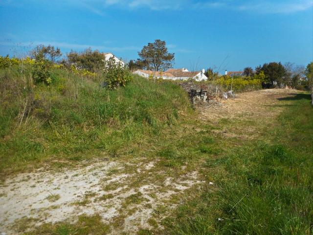 Dpt Charente Maritime 17, Ile d'Oléron, SAINT PIERRE D'OLERON 17, Terrain de 950 m² à vendre
