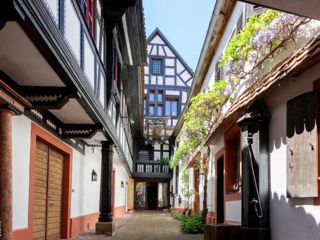 Propriété exeptionnelle sur 1 hectare à vendre en viager occupé, BOERSCH propriete P15 de 480 m²