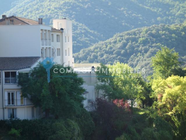 Dpt Gard à vendre LE VIGAN proche Appartement T3 SH 82,56 m