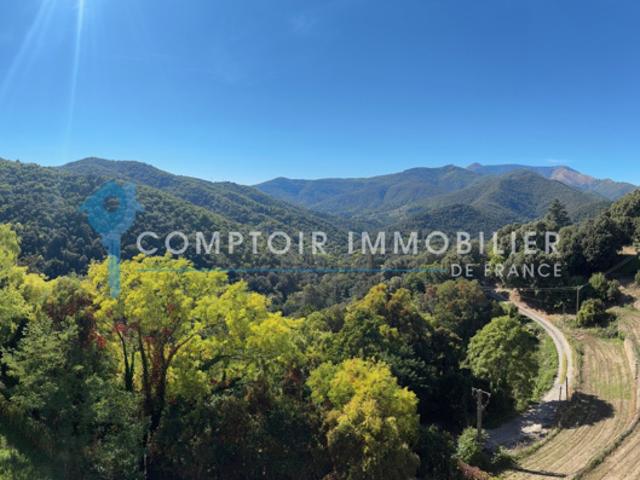 Dpt Gard à vendre LE VIGAN proche Appartement T 2 SH 59 m2 T