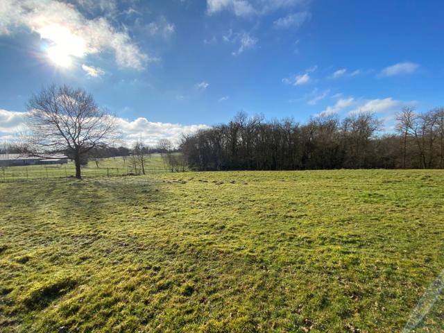 Dpt Gers 32, à vendre proche de BARCELONNE DU GERS Terrain à bâtir de 3224 m², au calme