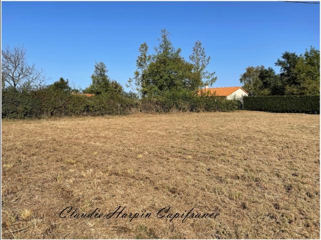 Dpt Deux Sèvres 79, à vendre VIENNAY terrain constructible d'environ 1993 m²