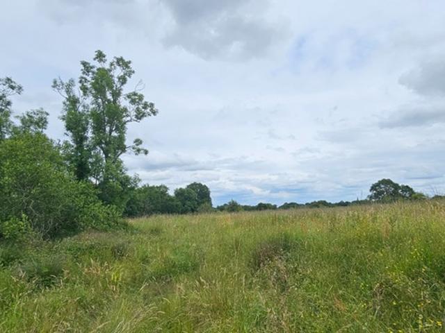Dpt LANDES 40, à vendre à POUDENX, Maison + grange anciennes à rénover sur 1,7 hectare de terrain, au calme