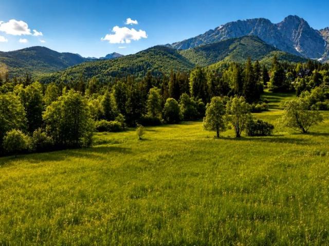 Droga Na Wierch 2 839 m², Zakopane