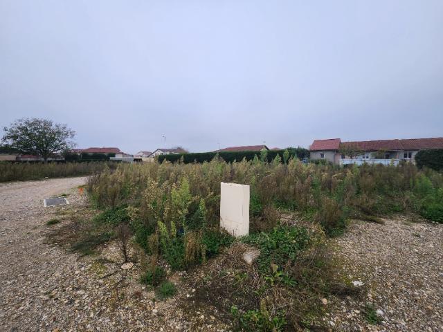 Dracé Vente Terrain 69