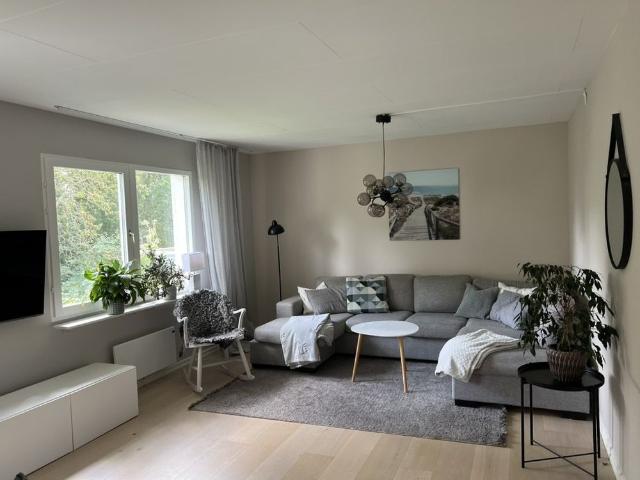 Dragspelsvägen, Stockholm
