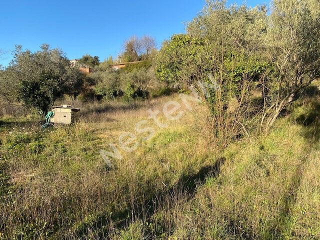 Draguignan Vente Terrain 83