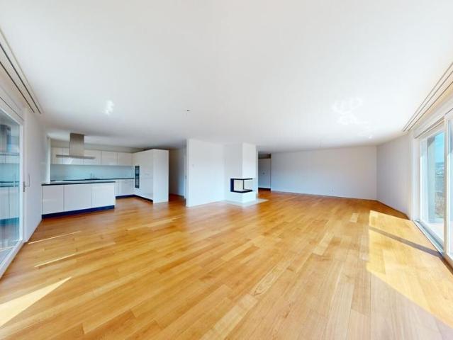 Dream apartment in the attic – with a view of Lake Zurich and the mountains!