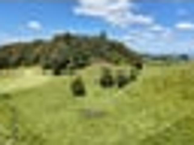 Dream big and move to the country!